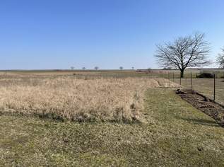 Traumhaftes Baugrundstück - Aufschließungsabgabe bereits entrichtet und kein Bauzwang!, 192000 €, Immobilien-Grund und Boden in 2130 Mistelbach