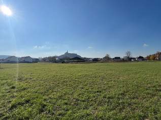 Großes Baugrundstück (ca. 1 ha) in Güssinger Ortsrandlage!, 570000 €, Immobilien-Grund und Boden in 7540 Gemeinde Güssing Großes Baugrundstück (ca. 1 ha) in Güssinger Ortsrandlage!, 570000 €, Immobilien-Grund und Boden in 7540 Gemeinde Güssing