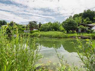 Naturlage an der Fischach: Baugrundstück mit bewilligtem Öko-Haus, 595000 €, Immobilien-Grund und Boden in 5201 Seekirchen am Wallersee