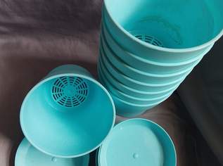 BALD KOMMT DER FRÜHLING !!