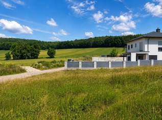 Wunderschönes, sonniges Grundstück in Siegenfeld, 165000 €, Immobilien-Grund und Boden in 2500 Katastralgemeinde Siegenfeld