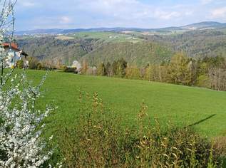 2 Baugrundstücke in traumhafter Aussichtslage, 130000 €, Immobilien-Grund und Boden in 4091 Vichtenstein