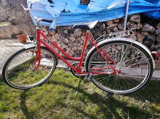 PUCH SPRINT DAMENFAHRRAD, 185 €, Auto & Fahrrad-Fahrräder in 2344 Gemeinde Maria Enzersdorf