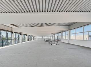 Vielseitige Gewerbeflächen in Seyring, 0 €, Immobilien-Gewerbeobjekte in 2201 Seyring
