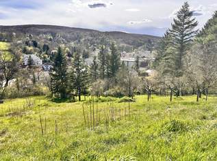 Traumhaftes Baugrundstück in Klosterneuburg - Ihr Eigenheim wartet auf Sie! Nur 770.000,00 € für 1220m², 770000 €, Immobilien-Grund und Boden in 3400 Gemeinde Klosterneuburg Traumhaftes Baugrundstück in Klosterneuburg - Ihr Eigenheim wartet auf Sie! Nur 770.000,00 € für 1220m², 770000 €, Immobilien-Grund und Boden in 3400 Gemeinde Klosterneuburg