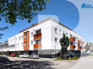 Solo, 687 €, Immobilien-Wohnungen in 4050 Traun