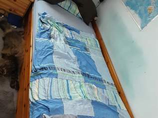 Tolles Bett mit Ausziehlade!, 120 €, Kindersachen-Kinderzimmer in 7121 Weiden am See