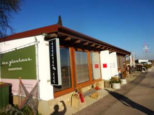 Etablierte Gastronomie in Top Lage, 300000 €, Immobilien-Gewerbeobjekte in 2454 Sarasdorf Etablierte Gastronomie in Top Lage, 300000 €, Immobilien-Gewerbeobjekte in 2454 Sarasdorf