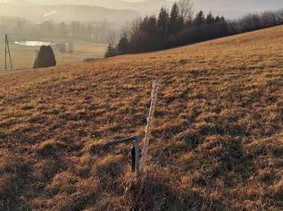 Wohnen, wo andere Urlaub machen - Baugrund in sonniger Lage im Almenland!, 0 €, Immobilien-Grund und Boden in 8162 Passail