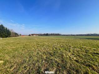 Leistbares, ebenes, sonniges Baugrundstück mit guter Anbindung!, 48000 €, Immobilien-Grund und Boden in 8263 Radersdorf