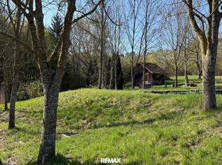 Naturidyll im SÜDBURGENLAND – Teichanlage mit großem Potenzial, 88000 €, Immobilien-Gewerbeobjekte in 7540 Kleinmürbisch Naturidyll im SÜDBURGENLAND – Teichanlage mit großem Potenzial, 88000 €, Immobilien-Gewerbeobjekte in 7540 Kleinmürbisch