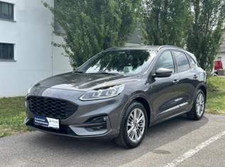 Ford Kuga ST-LineX 2.0EcoBlue Hybrid M6 150PS, 18990 €, Auto & Fahrrad-Autos in 8435 Wagna Ford Kuga ST-LineX 2.0EcoBlue Hybrid M6 150PS, 18990 €, Auto & Fahrrad-Autos in 8435 Wagna