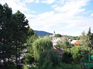 Großzügiges, sonniges Einfamilienhaus mit 80m² Dachterrasse, 730000 €, Immobilien-Häuser in 2514 Katastralgemeinde Traiskirchen