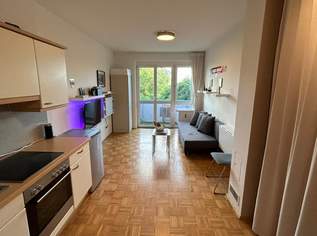 Ideale 1 Zimmerwohnung in guter Lage mit Balkon und inkl. Küche, 528.24 €, Immobilien-Wohnungen in Oberösterreich