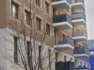 Vielseitiges Geschäftslokal mit 183 m² in der Seestadt Aspern – geförderte Miete, 1939.58 €, Immobilien-Gewerbeobjekte in 1220 Donaustadt Vielseitiges Geschäftslokal mit 183 m² in der Seestadt Aspern – geförderte Miete, 1939.58 €, Immobilien-Gewerbeobjekte in 1220 Donaustadt