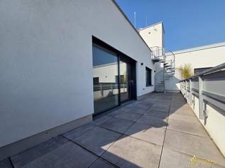 PROVISIONSFREIER ERSTBEZUG. PENTHOUSE DELUXE. 4-ZIMMER, BALKON, TERRASSE, DACHTERRASSE - TIEFGARAGE OPTIONAL., 799900 €, Immobilien-Wohnungen in 2340 Gemeinde Mödling PROVISIONSFREIER ERSTBEZUG. PENTHOUSE DELUXE. 4-ZIMMER, BALKON, TERRASSE, DACHTERRASSE - TIEFGARAGE OPTIONAL., 799900 €, Immobilien-Wohnungen in 2340 Gemeinde Mödling