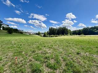 Schöne Baugrundstücke "vor den Toren von Freistadt", 131440 €, Immobilien-Grund und Boden in 4240 Freistadt