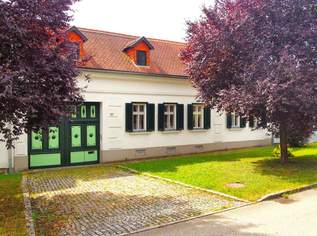 **Exklusives Haus in beliebter Weinregion im Südburgenland - mit 4 separat begehbaren Wohneinheiten**, 649000 €, Immobilien-Häuser in 7474 Eisenberg an der Pinka