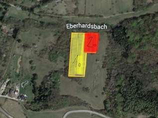 Verwilderter, mit alten Sorten bestückter Obstgarten im Moment als Wald gewidmet mit RODUNGSBESCHEID, 79000 €, Immobilien-Grund und Boden in 3433 Gemeinde Königstetten