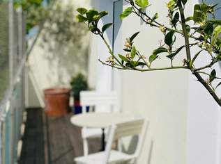 sehr helle und ruhige Dachgeschosswohnung in Hietzinger Bestlage, 848000 €, Immobilien-Wohnungen in 1130 Hietzing