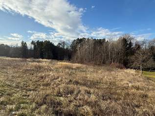 Großes Baugrundstück mit Wald ohne Bauzwang, 78000 €, Immobilien-Grund und Boden in 7535 Sankt Michael im Burgenland