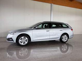 Octavia Ambition TDI, 19490 €, Auto & Fahrrad-Autos in 8443 Gleinstätten