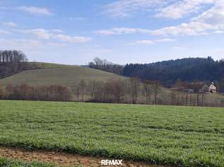 Landwirtschaftliche Nutzflächen in St. Agatha / Waizenkirchen, 0 €, Immobilien-Gewerbeobjekte in 4084 St. Agatha