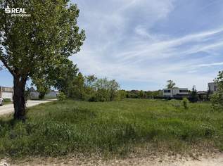 Ideales Grundstück für Ihr Eigenheim - gute Lage, perfekte Größe, 245200 €, Immobilien-Grund und Boden in 7100 Gemeinde Neusiedl am See