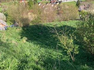 Großzügiges Haus mit Geschäftsfläche und Garten