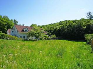 Idyllisches Baugrundstück mit Ganztagssonne am Waldrand – Ruhelage nur 5 km von Wien!, 550000 €, Immobilien-Grund und Boden in 2384 Breitenfurt