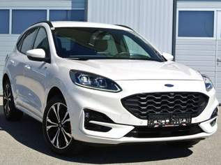 Kuga 2.5 PHEV Hybrid ** ST-Line X ** LEDER * LED * KAMERA * 4xSHZ *, 19750 €, Auto & Fahrrad-Autos in 4693 Desselbrunn Kuga 2.5 PHEV Hybrid ** ST-Line X ** LEDER * LED * KAMERA * 4xSHZ *, 19750 €, Auto & Fahrrad-Autos in 4693 Desselbrunn