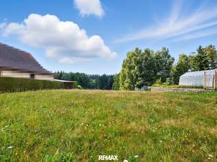 Großzügiges Baugrundstück im Waldviertel – Bauen Sie sich Ihr eigenes Wohnparadies!, 59000 €, Immobilien-Grund und Boden in 3943 Kleedorf Großzügiges Baugrundstück im Waldviertel – Bauen Sie sich Ihr eigenes Wohnparadies!, 59000 €, Immobilien-Grund und Boden in 3943 Kleedorf
