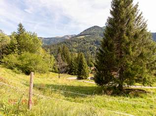 Ankommen und Ausspannen auf 950 m² Naturglück, 0 €, Immobilien-Grund und Boden in 6857 Kehlegg