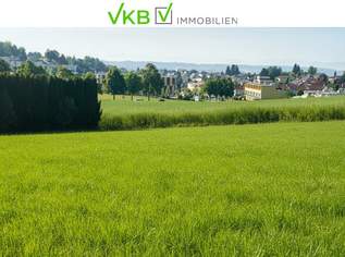 Exklusives Baugrundstück mit traumhafter Aussicht in Leonding/Berg, 611000 €, Immobilien-Grund und Boden in 4060 Leonding Exklusives Baugrundstück mit traumhafter Aussicht in Leonding/Berg, 611000 €, Immobilien-Grund und Boden in 4060 Leonding
