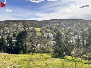 Traumhaftes Hanggrundstück in Kierling, Klosterneuburg – sonnig & ruhig gelegen – Ihr Traum vom Eigenheim beginnt hier!, 0 €, Immobilien-Grund und Boden in 3400 Gemeinde Klosterneuburg