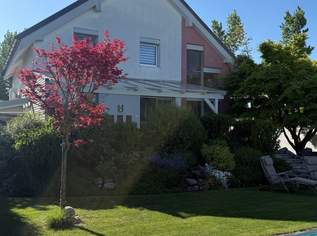 super nettes Haus mit Pool, 975000 €, Immobilien-Häuser in 2353 Gemeinde Guntramsdorf super nettes Haus mit Pool, 975000 €, Immobilien-Häuser in 2353 Gemeinde Guntramsdorf