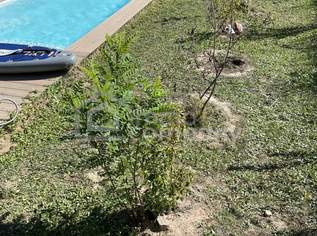 Das Badevergnügen ist schon da! 765 m² Baugrundstück mit Pool und Burgblick in Seebenstein, 144000 €, Immobilien-Grund und Boden in 2824 Gemeinde Seebenstein Das Badevergnügen ist schon da! 765 m² Baugrundstück mit Pool und Burgblick in Seebenstein, 144000 €, Immobilien-Grund und Boden in 2824 Gemeinde Seebenstein