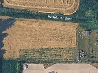 Grundstück Grünland Land und Forstwirtschaft in 2124 Oberkreuzstetten, 80000 €, Immobilien-Grund und Boden in 4124 Niederkreuzstetten