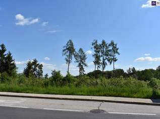 Wunderbares Bauträgergrundstück in Bestlage Nähe 8301 Laßnitzhöhe, 1545000 €, Immobilien-Grund und Boden in 8301 Laßnitzhöhe
