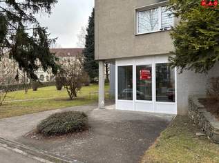NEU (maßgeschneidert) sanierte Geschäfts-/Büro-/Ordinationsfläche mit XL-Schaufenstern - 1A Preis-/Leistung, direkt neben dem (Vital-)Zentrum Muldenstraße!, 763.91 €, Immobilien-Gewerbeobjekte in Oberösterreich