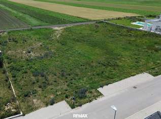 Leben zwischen See und Weinbergen – Baugrundstücke in Jois, 282150 €, Immobilien-Grund und Boden in 7093 Gemeinde Jois Leben zwischen See und Weinbergen – Baugrundstücke in Jois, 282150 €, Immobilien-Grund und Boden in 7093 Gemeinde Jois