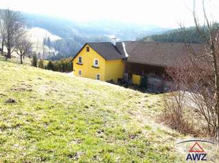 Alter Bauernhof in ländlicher, charmanter und ruhiger Lage zu vermieten!, 500 €, Immobilien-Häuser in 3263 Randegg