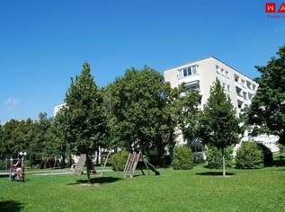 Erstbezug nach Generalsanierung: 2-Zimmer-Wohnung mit Loggia und Lift in Linz/Oed!, 745.62 €, Immobilien-Wohnungen in Oberösterreich Erstbezug nach Generalsanierung: 2-Zimmer-Wohnung mit Loggia und Lift in Linz/Oed!, 745.62 €, Immobilien-Wohnungen in Oberösterreich