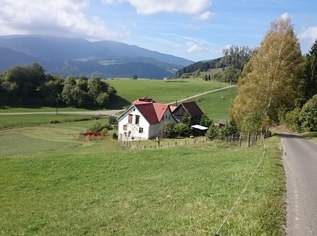 idyllisch gelegenes Einfamilienhaus, 220000 €, Immobilien-Häuser in 8820 Neumarkt in der Steiermark