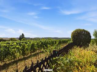 Absolute Traumlage in Mühlbach: Geschmackvoller Landhausstil, parkähnlicher Garten, Pool und einmaliger Fernblick!, 269000 €, Immobilien-Häuser in 3473 Mühlbach am Manhartsberg