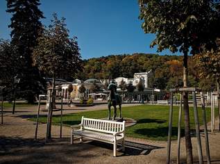 Boutiquehotel in Baden sucht einen Pächter, 0 €, Immobilien-Gewerbeobjekte in 2500 Gemeinde Baden