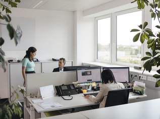 Verkehrsgünstig gelegene Büro- und Lagerfläche (138 m² und 320 m²), provisionsfrei - WALTER BUSINESS-PARK, 4845.2 €, Immobilien-Gewerbeobjekte in 2340 Gemeinde Mödling