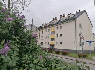 Schwechat 2-Zimmer-Wohnung,ideal für Anleger (Provisionsfrei), 135000 €, Immobilien-Wohnungen in 2320 Schwechat