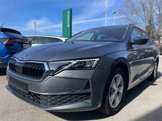 Octavia Selection TDI DSG, 39980 €, Auto & Fahrrad-Autos in 2380 Gemeinde Perchtoldsdorf