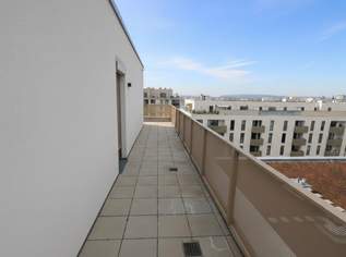 Moderne 3-Zimmer Wohnung mit großer Terrasse nahe U1 Kagraner Platz, 1499 €, Immobilien-Wohnungen in 1220 Donaustadt Moderne 3-Zimmer Wohnung mit großer Terrasse nahe U1 Kagraner Platz, 1499 €, Immobilien-Wohnungen in 1220 Donaustadt